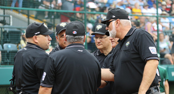 little league umpire